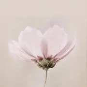 TKGの画像
