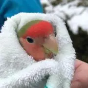 さむの画像