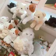 恵子の画像
