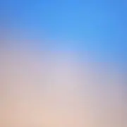 Momiの画像