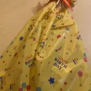わんこの画像