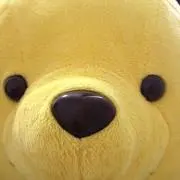 もぐたんの画像