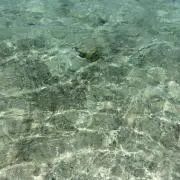 りん