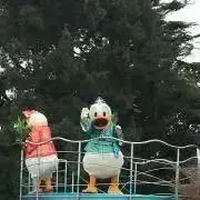 もちのの画像