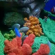 ＊ fu_ka ＊プロフ要確認