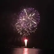 ゴンゾー