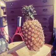 ナッパーの画像