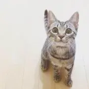 りと