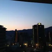 よしの画像