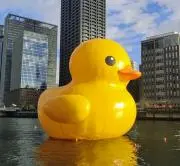 みるたんくの画像