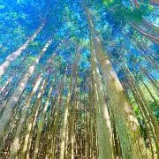 日月あん