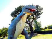 ユウの画像