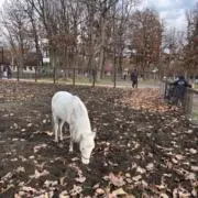 ぼん　※プロフ必読※