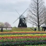 そのぴーの画像