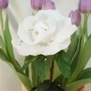 ☆ プロフ必読の画像