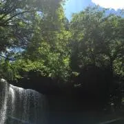 千恵の画像