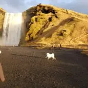 みぃチャコの画像