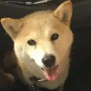 マイケル
