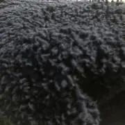SSS