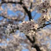 noxx515の画像
