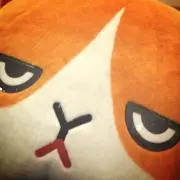ブンの画像
