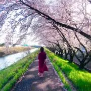 夏