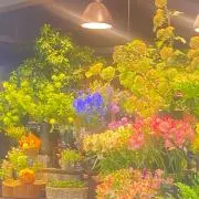 Arwenの画像
