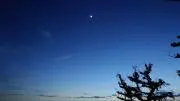 ayaの画像