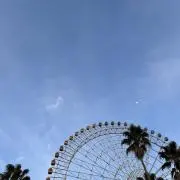 ミッフィの画像