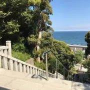ぽんぽんの画像
