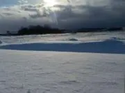 キミマロの画像