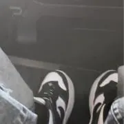 千鯉の画像