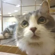 Mai☆プロフ必読の画像