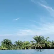 パドマ