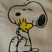 yokoの画像