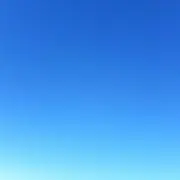 楓の画像