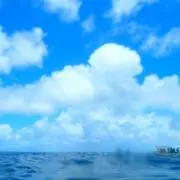 なおちいの画像