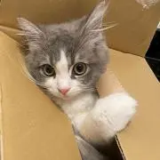 ねむ