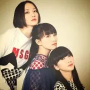 Psa8の画像