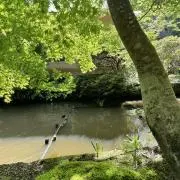 ニックの画像