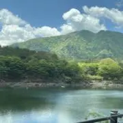 なっぱの画像