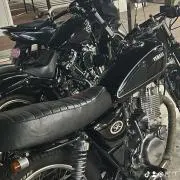 冷たいミュー