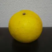 ゆうちゃんの画像