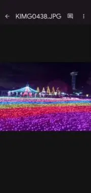 ケイの画像