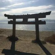 nammの画像