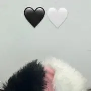 彩の画像