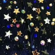 ぷくの画像
