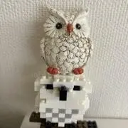 Maruyatiの画像