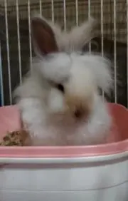 仁！