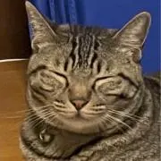 LABRETの画像